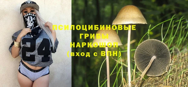ALPHA PVP Белокуриха