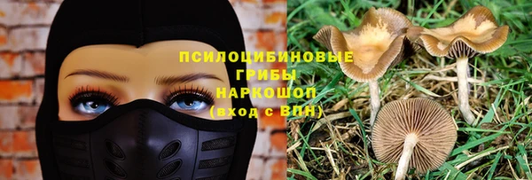 гидропоника Беломорск