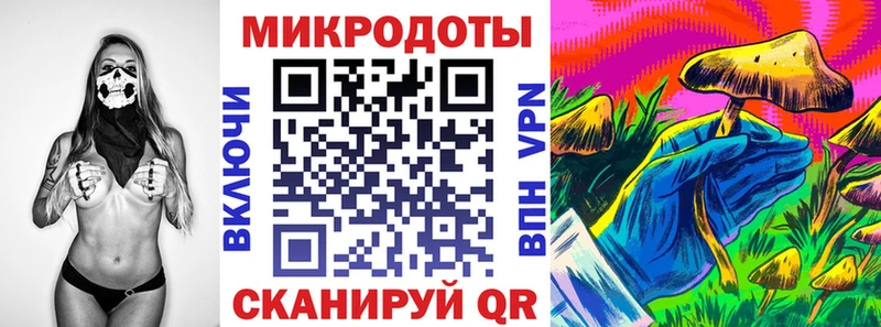 Галлюциногенные грибы Psilocybe  hydra ссылка  Нахабино 